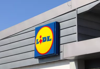 A Lidl előtt kötötte ki a kutyáját a nő: mire kijött a boltból, hűlt helyét találta - Fotók