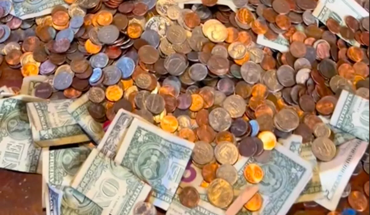 12 év után ürítette ki a család a nagy malacperselyt: az eredmény nem mindenkinek tetszik