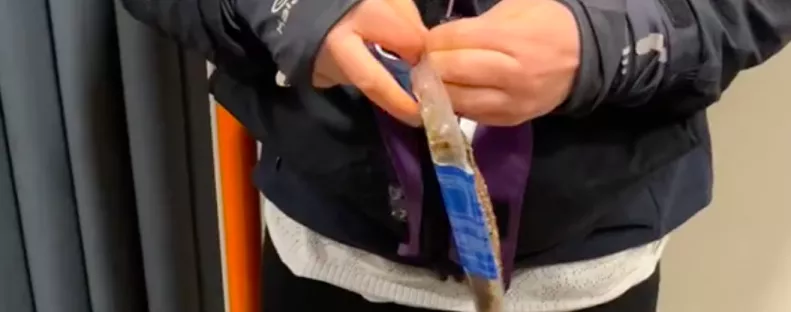 Gyomorforgató felvétel a metróban: bizarr ételt vett elő a srác - Videó