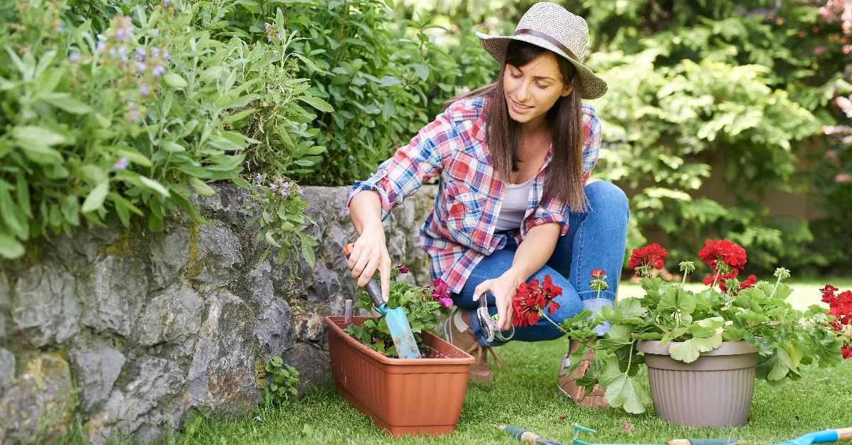 Csoda ez az étel: távol tartja a kártevőket a kertedtől - Hangyát, egeret is