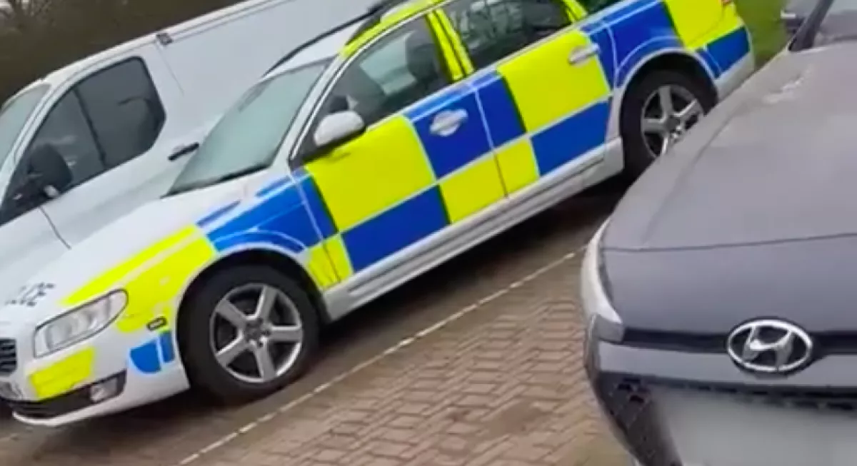 Rendőrségi szirénázás hallatszott a fáról: amikor a rendőrök kivonultak, nem hittek a szemüknek - Videó