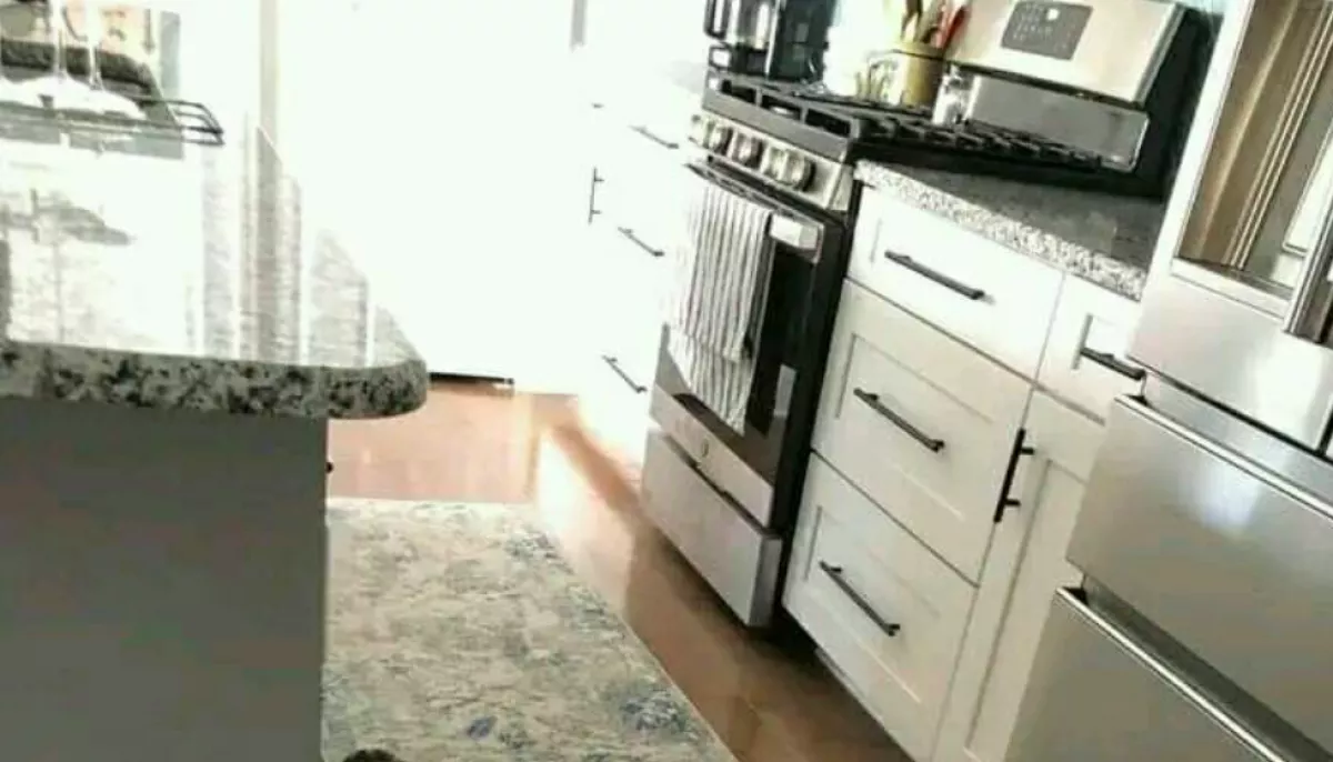 Furcsa zajokat hallott a nő: amikor benézett a konyhába, megállt a szíve - Fotó