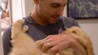 A golden retriever kölyök fél a fürdéstői: amit a gazdija csinál milliókat hat meg - Videó