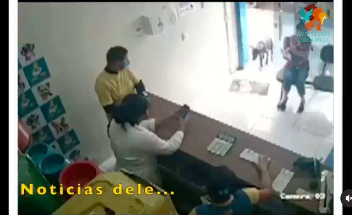 Megsérült a kutya lába: amit ezután tett, azt nehéz elhinni - Videó