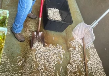 17 890 lazacot ölt meg a 20 éves srác: brutális büntetés lebeg a feje felett - Fotók