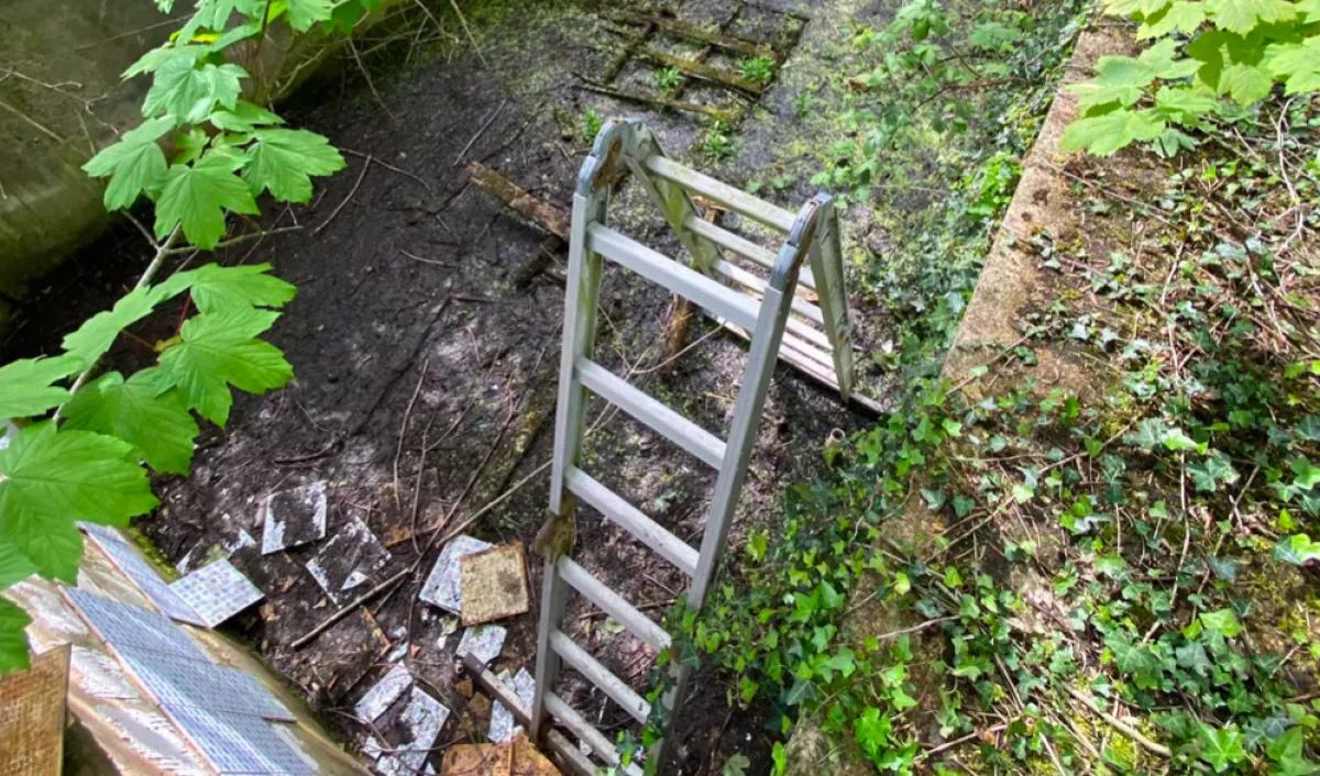 Segélykiáltásokat hallott a nő az öreg uszodából: amit megment a haláltól, szuper édes - Fotók