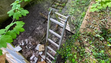 Segélykiáltásokat hallott a nő az öreg uszodából: amit megment a haláltól, szuper édes - Fotók