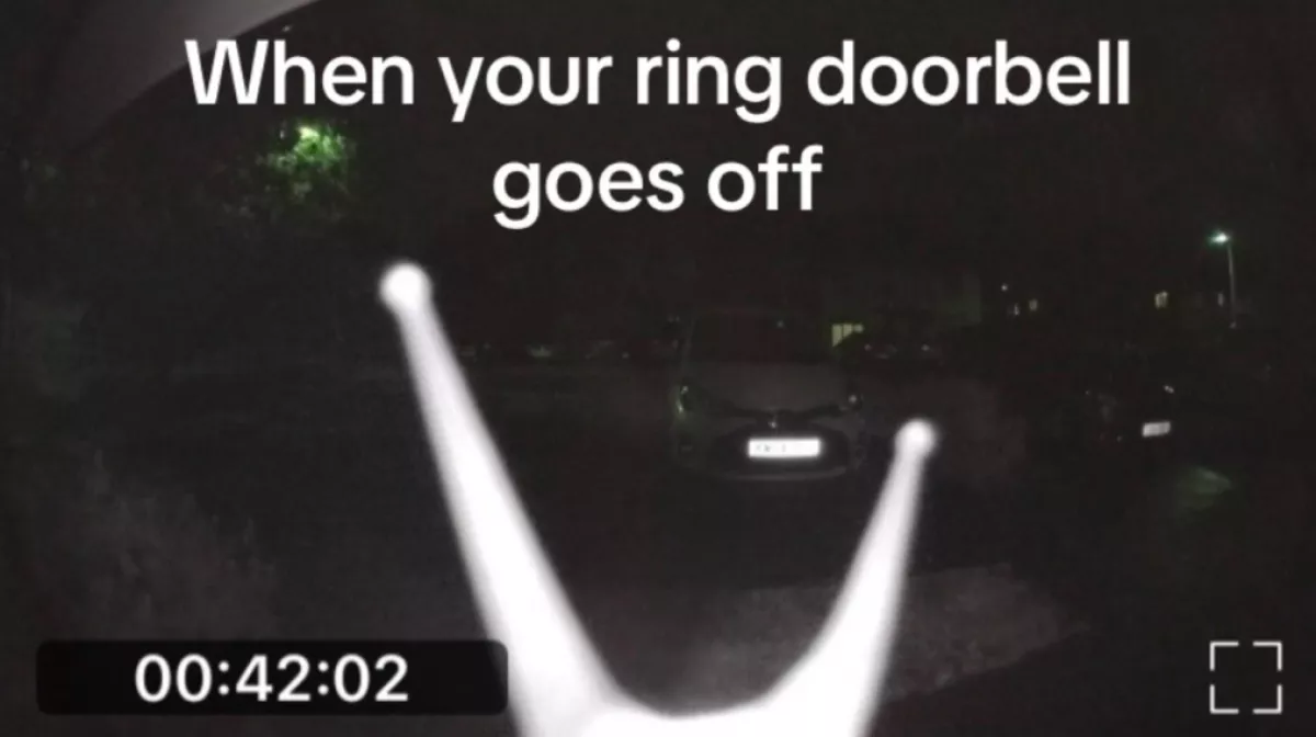 Nem hitte el Emma, ki csengetett be hozzá az éjszaka közepén - Fotó