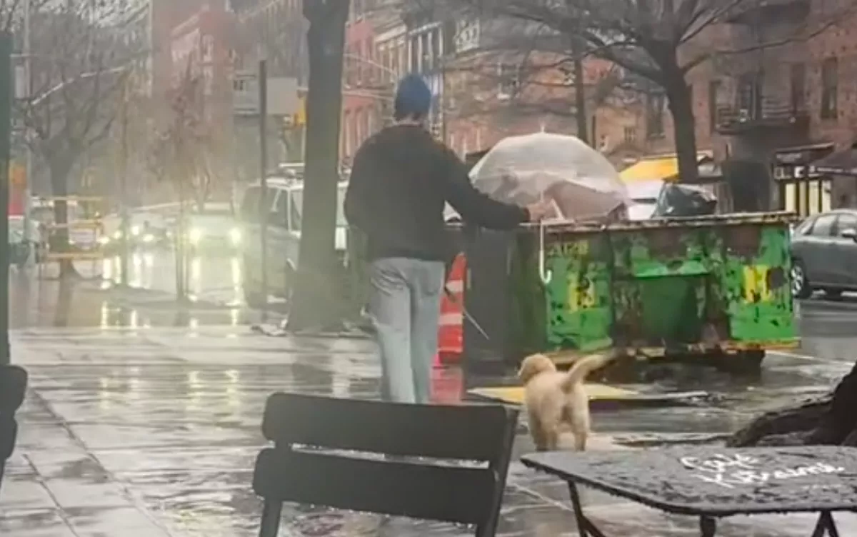 Amit a gazdi tett a kis golden retrieverért, milliók szívét olvasztja meg - egyet meg összetört - Videó