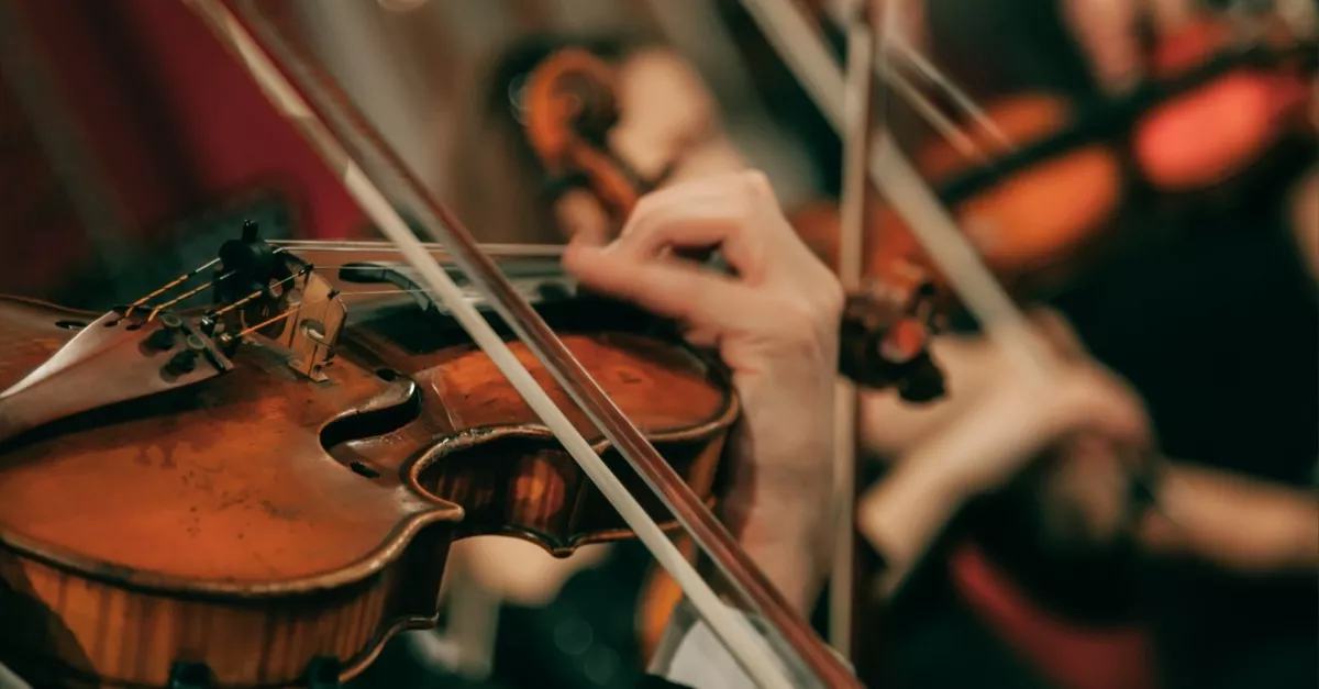 Beethovent játszott a kamarazenekar: aztán váratlan vendég jelent meg a színpadon - Videó