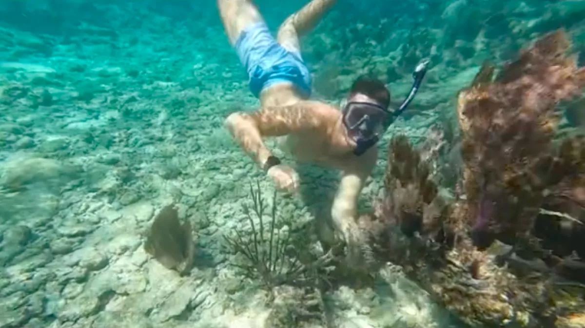 Kagylót keresett a tenger mélyén a férfi: amit "talált", attól a párja a víz alatt kezdett üvölteni - Videó