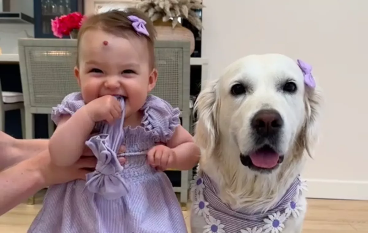 Tudni akarta az anya: a kutyája vagy a kislánya okosabb-e - Egy dologra nem számított - Videó