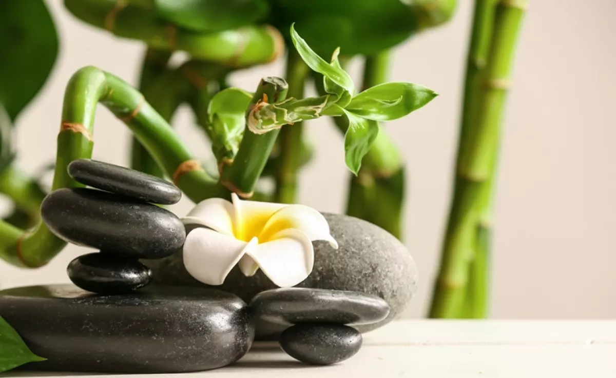 Gondoltad volna? A Feng Shui szerint egyenesen tilos ezzel a tárggyal egy szobában aludni