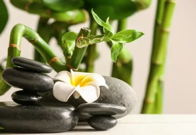 Gondoltad volna? A Feng Shui szerint egyenesen tilos ezzel a tárggyal egy szobában aludni