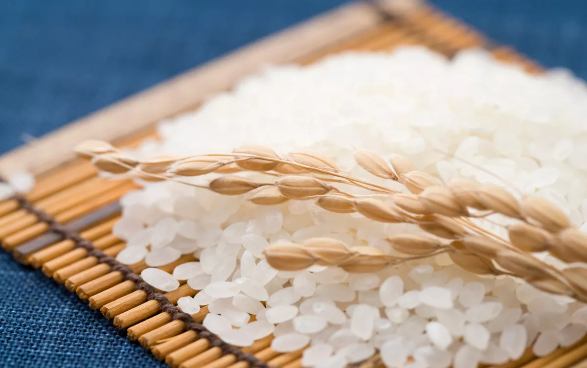 A rizs főzővize valódi kincs: 8 dolog, amire felhasználhatod ezt a folyékony aranyat