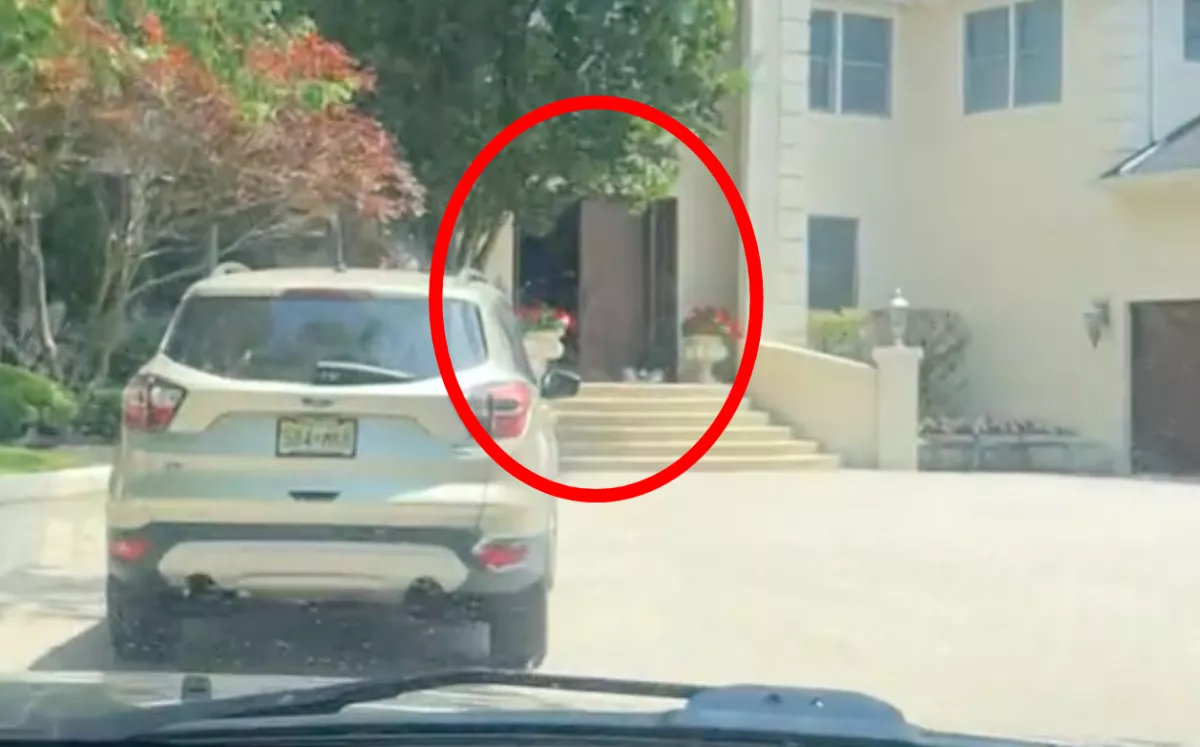 Kiszökött a kutya otthonról: amikor a gazdi rátalált, hangos nevetésben tört ki - Videó