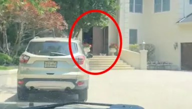 Kiszökött a kutya otthonról: amikor a gazdi rátalált, hangos nevetésben tört ki - Videó