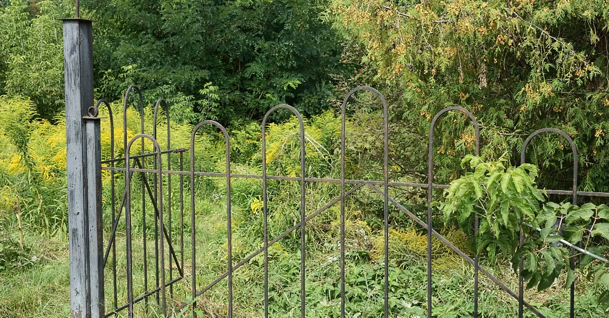 Elborzadt a férfi, amikor hirtelen két szem szegeződött rá a kertjében - Videó