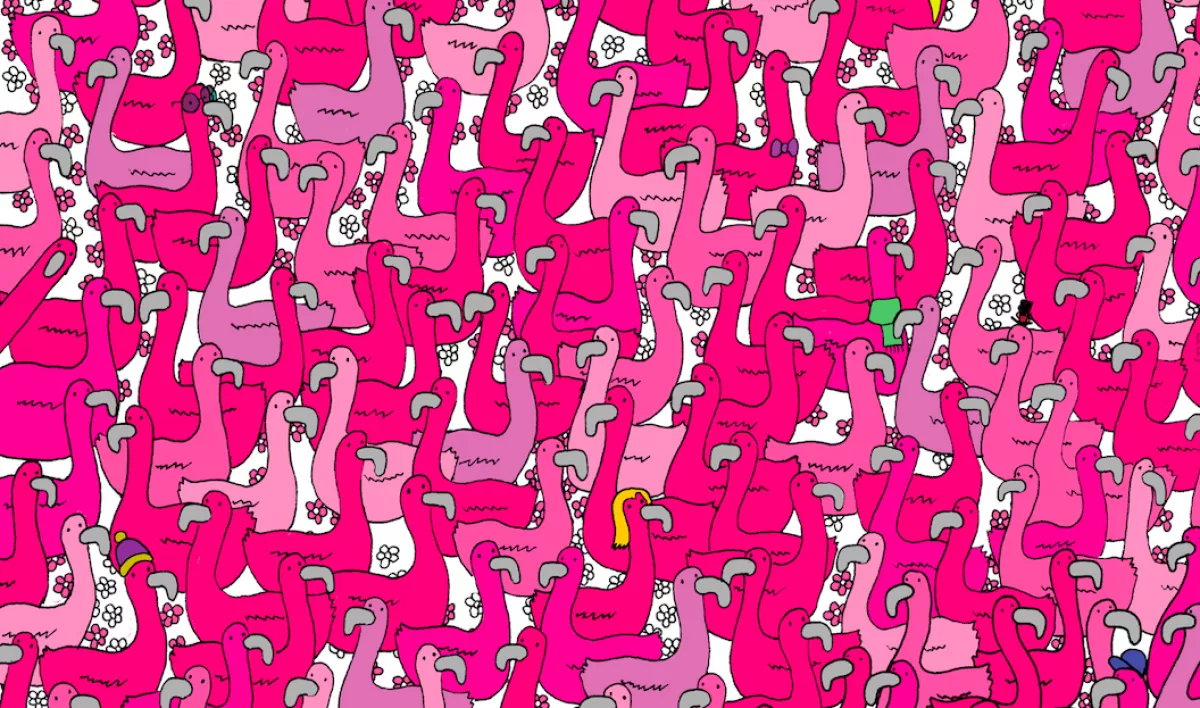 Csak az emberek 1 %-a találja meg 15 másodperc alatt a szívet a flamingók közt