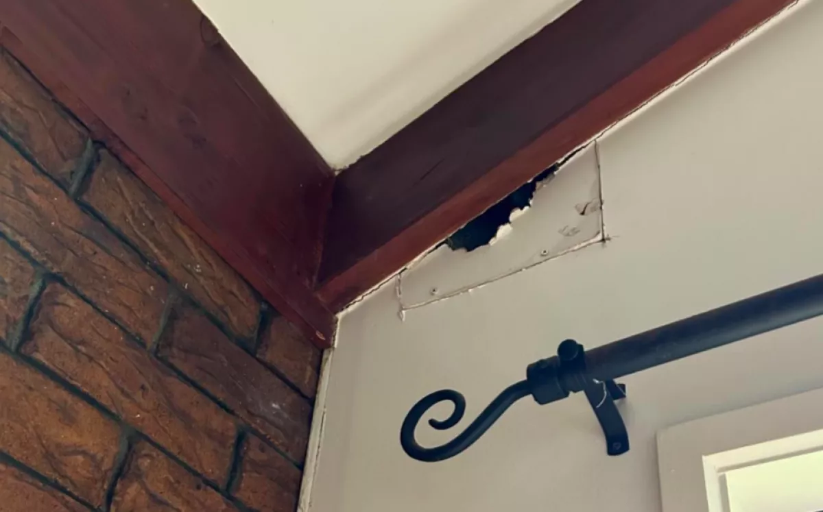 Pihenni és tévézni akart a pár: de ekkor megmozdult valami a fejük fölött - Fotók