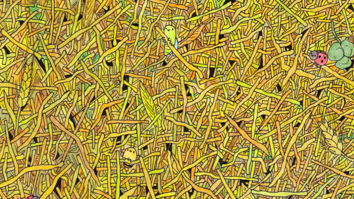 Zseniális képrejtvény: megtalálod egy perc alatt a tűt a szénakazalban?