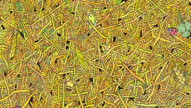 Zseniális képrejtvény: megtalálod egy perc alatt a tűt a szénakazalban?