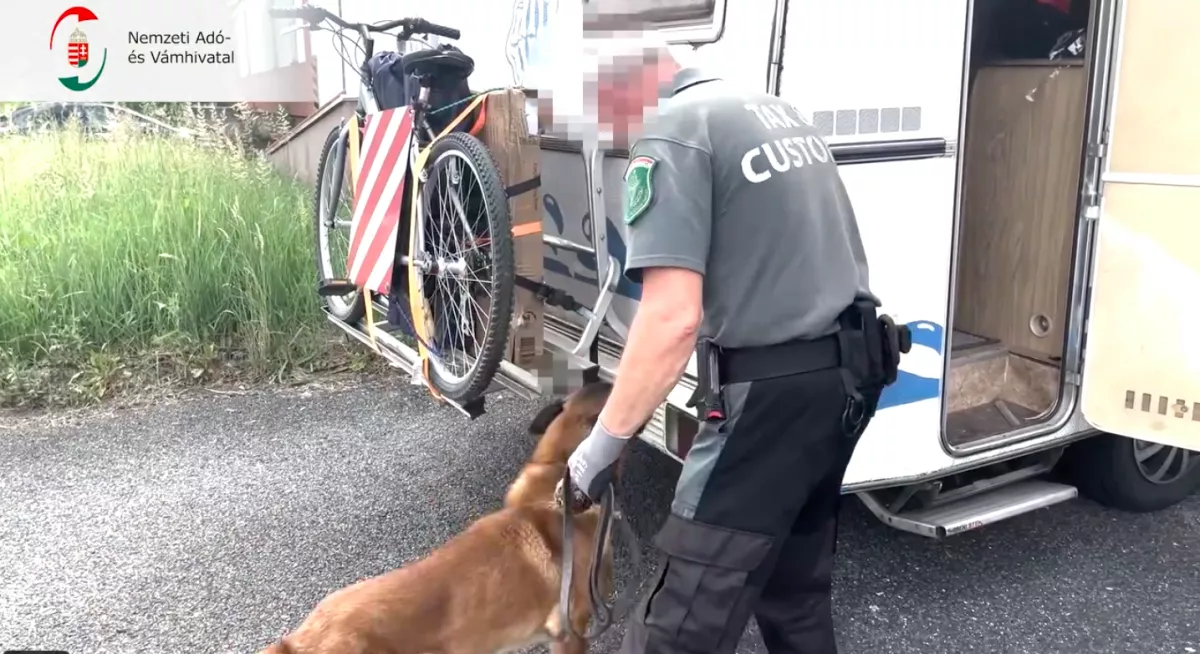 Jennifer Anistonék mintájára bűnözött a diósdi női-férfi testvérpár: az iPhone dobozban is pénz volt - Fotók