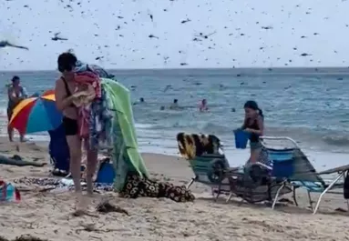 Fejvesztve menekültek az emberek: rovarinvázió a strandon - Videó