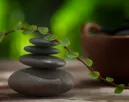 Ezt a növényt rakd a hálóba a feng shui szerint, bevonzza a gazdagságot