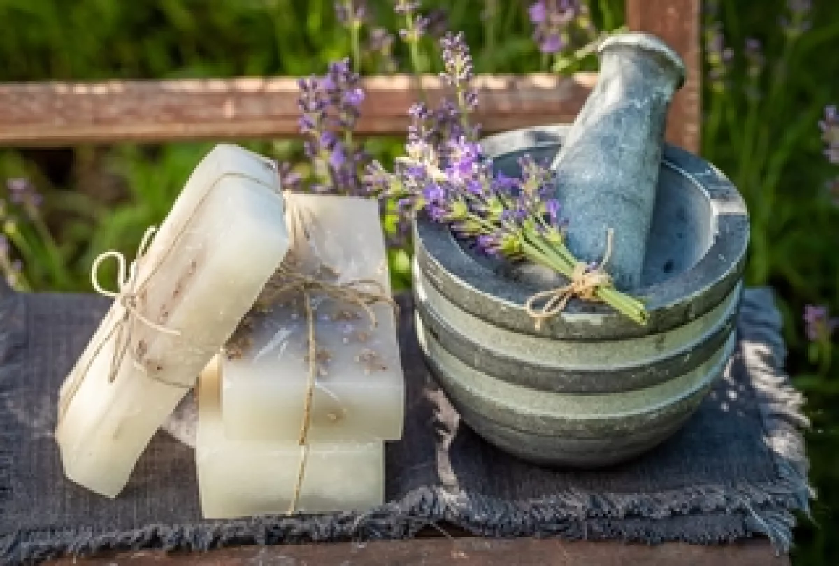 Akassz szappant a kertbe és ámulj: megdöbbentő dolgot fogsz tapasztalni