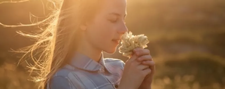 Akár 75%-kal jobb lehet a memóriád, ha sokat szagolgatod ezt a növényt