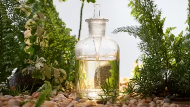 4 tipp, amivel az ecet valóságos csodaszer lesz a kertedben