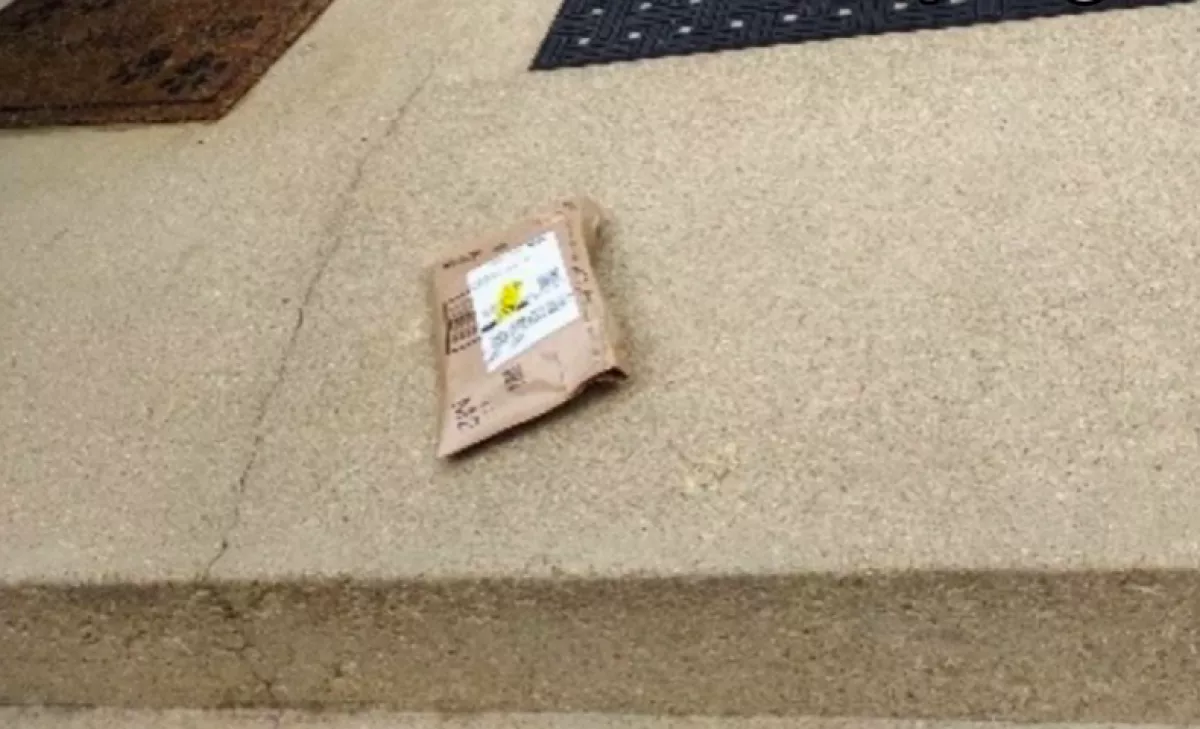 Fotót kapott a nő az Amazon-csomagjáról: amikor meglátta rajta a kutyáját, elakadt a szava 