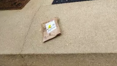 Fotót kapott a nő az Amazon-csomagjáról: amikor meglátta rajta a kutyáját, elakadt a szava 