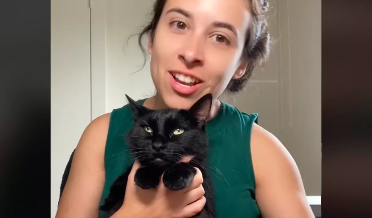 Új házba költözött a pár és a macskájuk: milliók nevetnek, mit csinál ott az állat - Videó