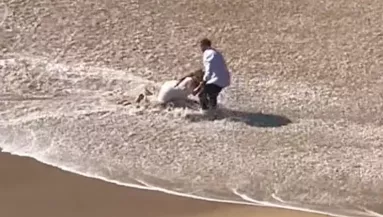 A tengerparti fotózásán nézte az ifjú párt a férfi: aztán megtörtént - Videó