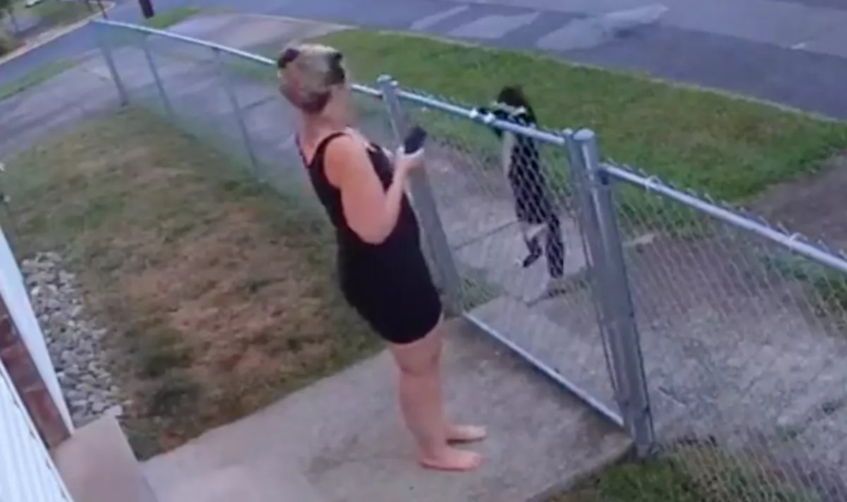 Hirtelen jelent meg egy kerítés előtt a macska: amit ezután tett, szótlanul hagyta a nőt - Videó