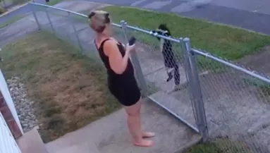 Hirtelen jelent meg egy kerítés előtt a macska: amit ezután tett, szótlanul hagyta a nőt - Videó