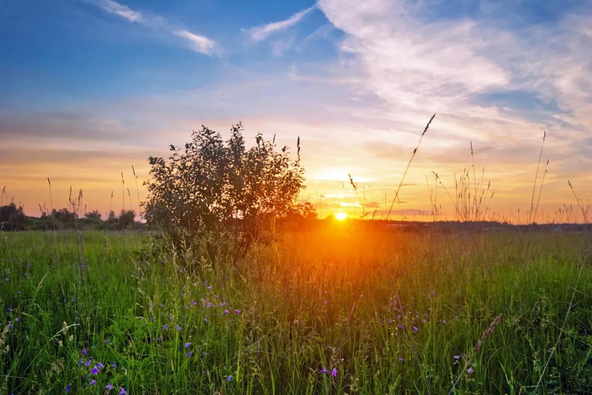 70 km/h-s szél, zivatarok, jég és meleg: 17 vármegyére frissítették a riasztást