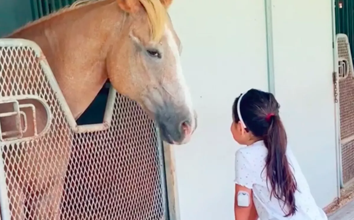 Gyerekdalokat énekelt a kislány a lónak: amikor abbahagyta, váratlan dolog történt - Videó