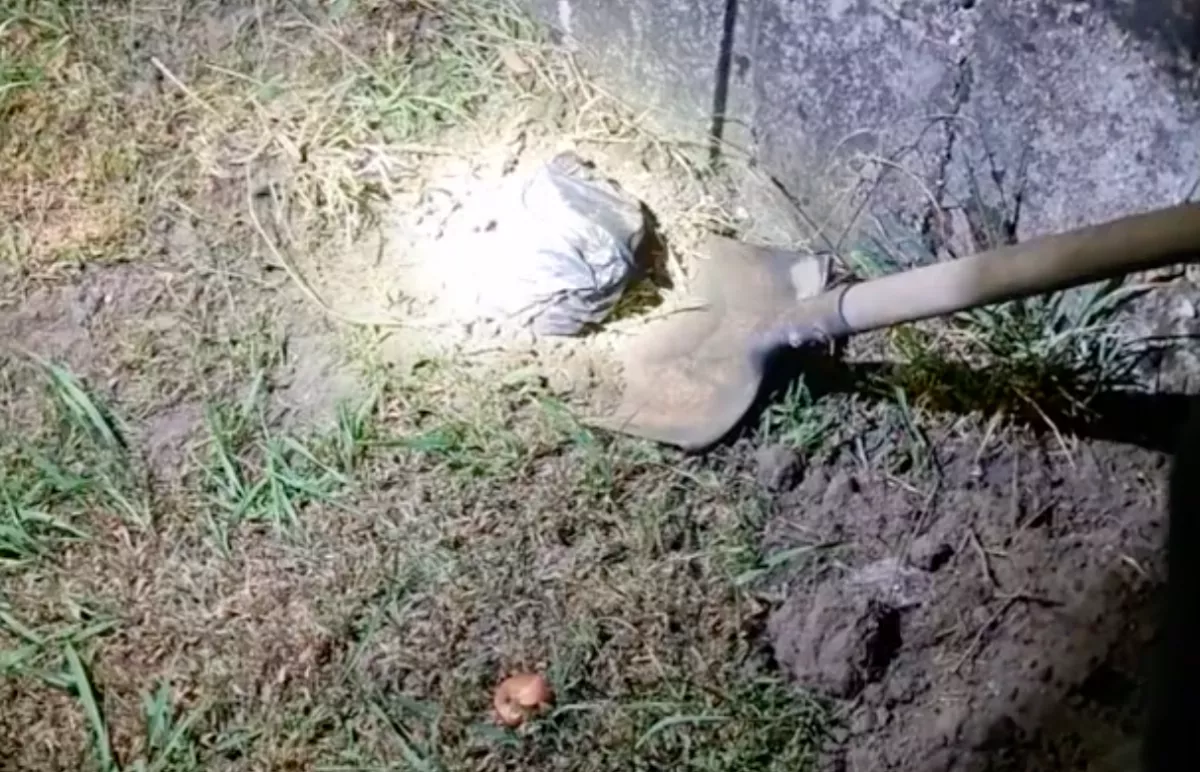 8 milliót rabolt egy pénzszállítótól János, majd nyaralni vitte a családot Horvátországba: haza már nem értek - Videó