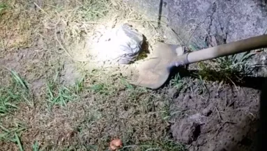 8 milliót rabolt egy pénzszállítótól János, majd nyaralni vitte a családot Horvátországba: haza már nem értek - Videó