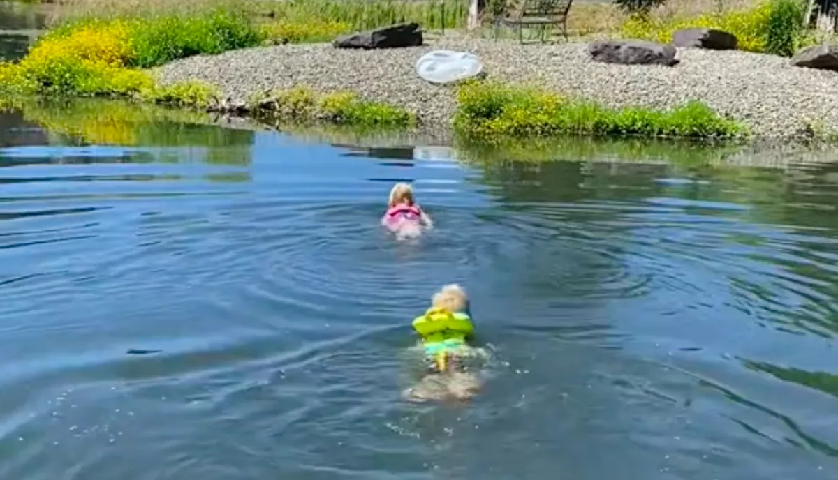 A tóban engedte úszni a kisgyerekeket a család: de valami más is úszott benne - Videó