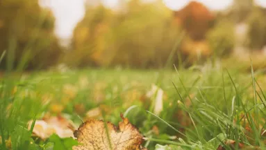 Firssítették az előrejelzést: ilyen idő vár ránk vasárnap