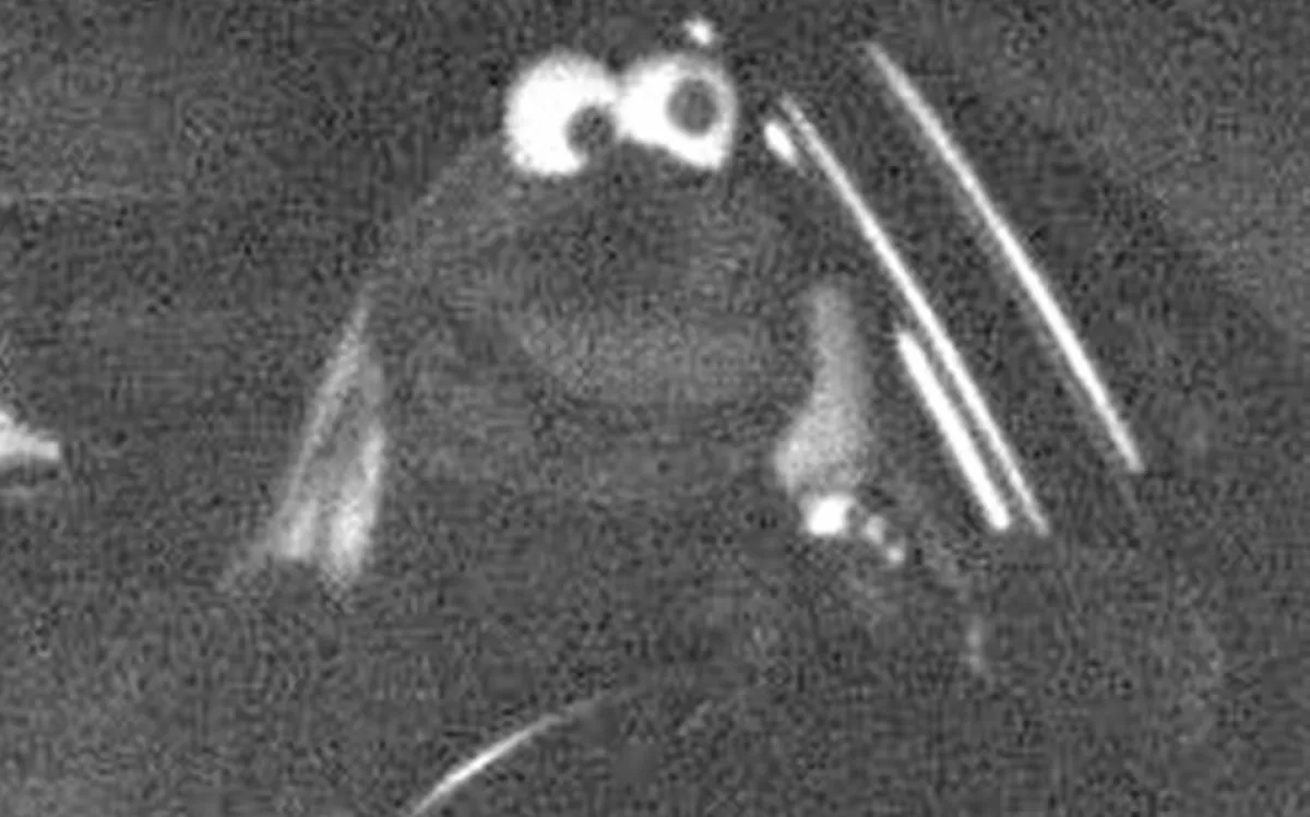 Megdöbbentő traffipax-fotó terjed futótűzként a neten