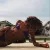 Jean-Claude Van Damme, Bianca, 