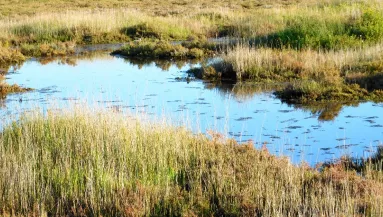 Három éve szökésben - Videón az apa, aki a vadonban bujkál a gyerekeivel