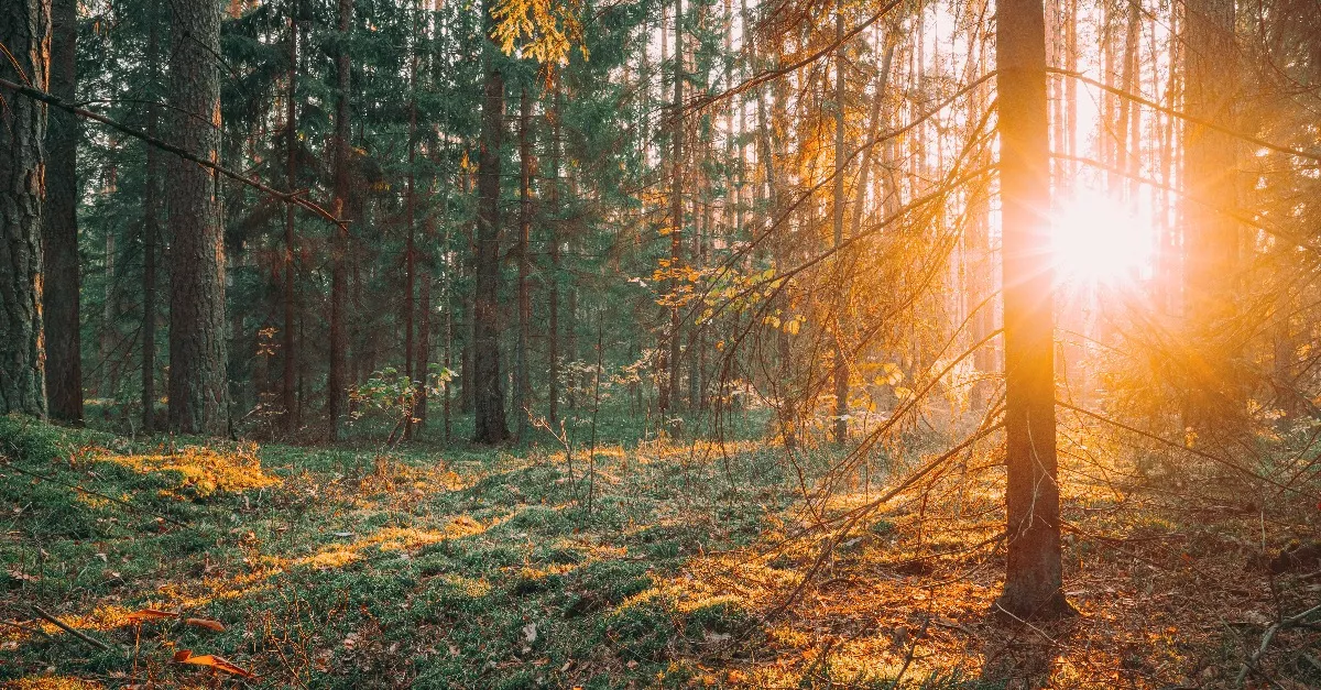 Frissítették az előrejelzést: ilyen idő vár ránk ma