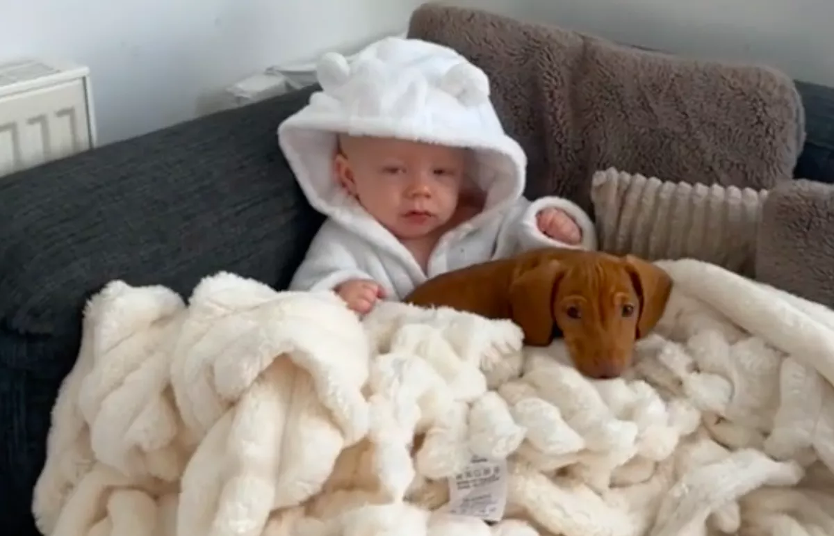 Kiskutyát vett a nő a babájának: senki nem volt felkészülve, ami ezután történt - Videó