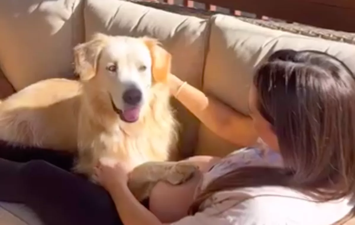 Először érezte meg a kutyus a babát gazdija pocakjában: a reakciója elbűvöli a világot - Videó